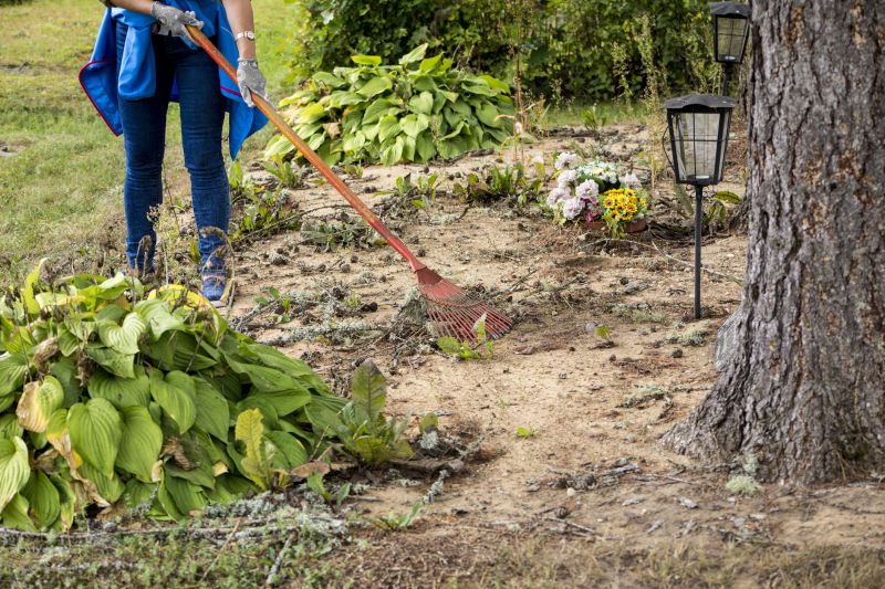 Customized Land Solutions