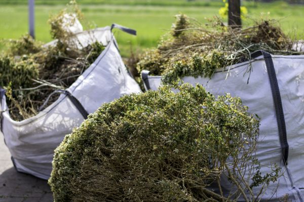 Cost of Bushes Clearing in Arvada